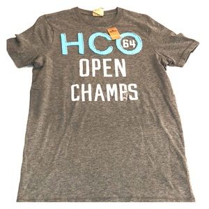 Grey Hollister t-shirt